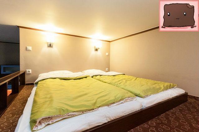 E47 Eotvos Apartment Budapeşte Dış mekan fotoğraf